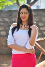 Adah Sharma Photo Shoot on 29th Jan 2016